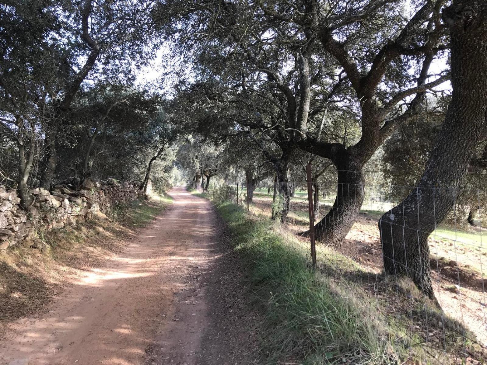 Alameda En Alanis, Sierra Norte De Sevilla Vakantiehuis *